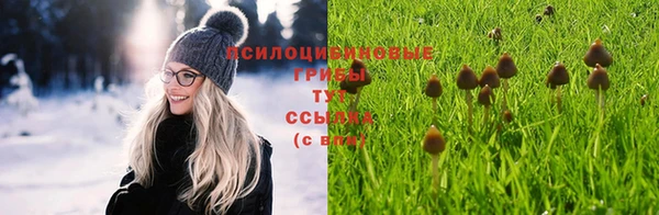 ешки Зеленокумск